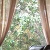 gigisimmons01